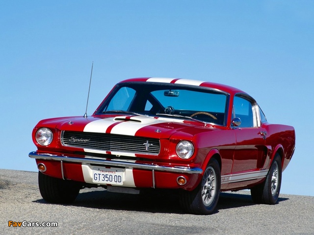 Shelby GT350 1966 pictures (640 x 480)