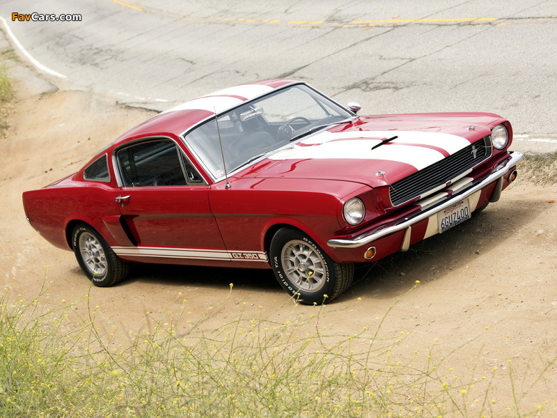 Shelby GT350 1966 pictures (800 x 600)