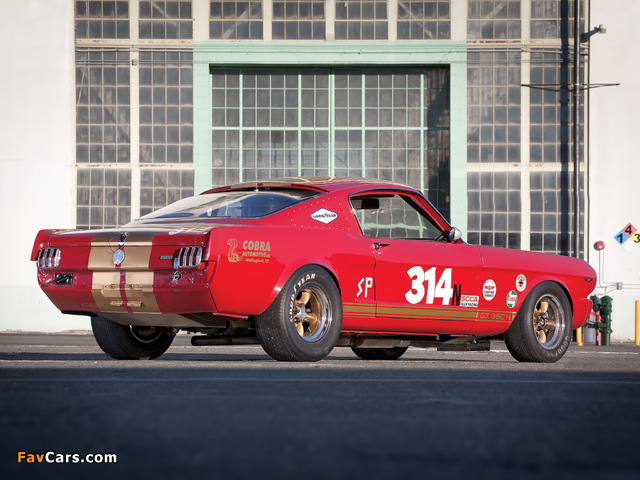 Shelby GT350H SCCA B-Production Race Car 1966 pictures (640 x 480)
