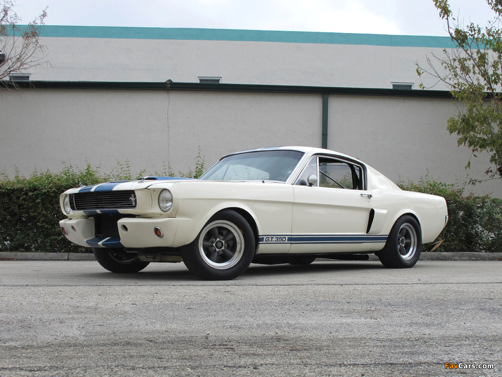 Shelby GT350R 1966 wallpapers (1024 x 768)