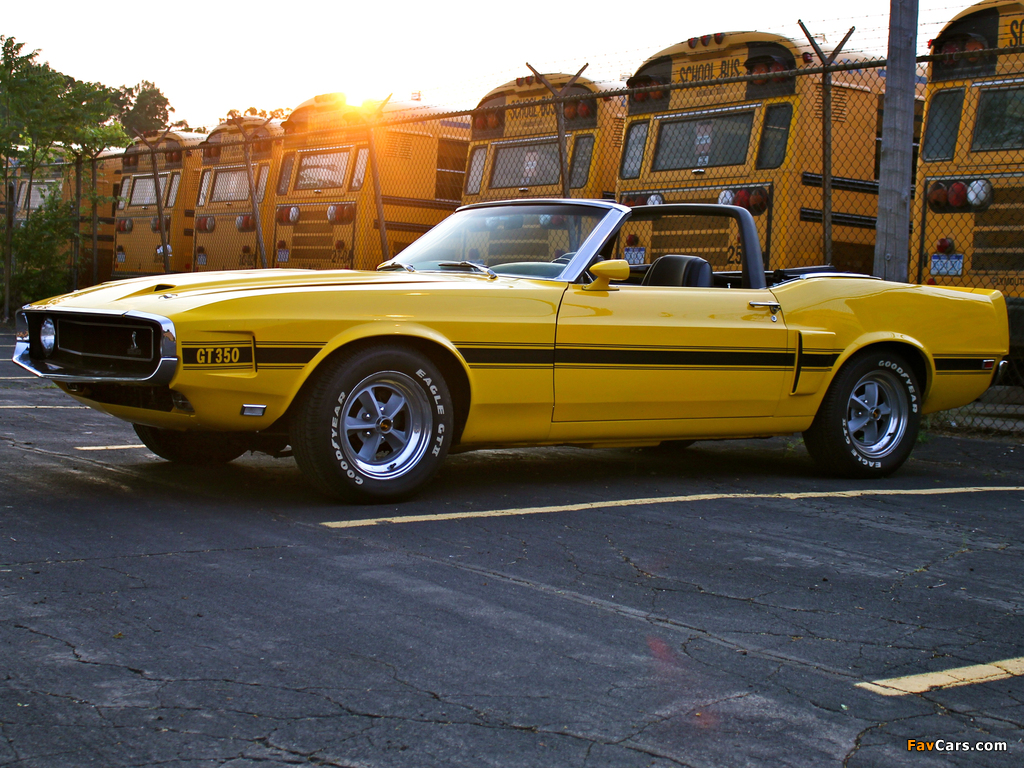 Shelby GT350 Convertible 1969 images (1024 x 768)