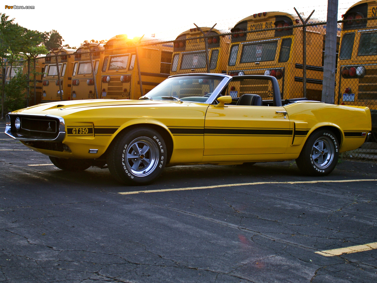 Shelby GT350 Convertible 1969 images (1280 x 960)