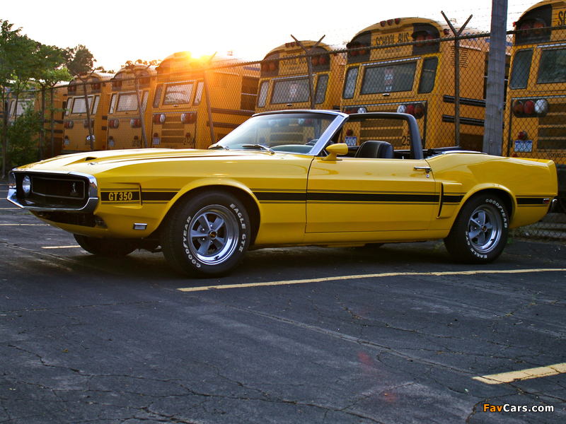 Shelby GT350 Convertible 1969 images (800 x 600)
