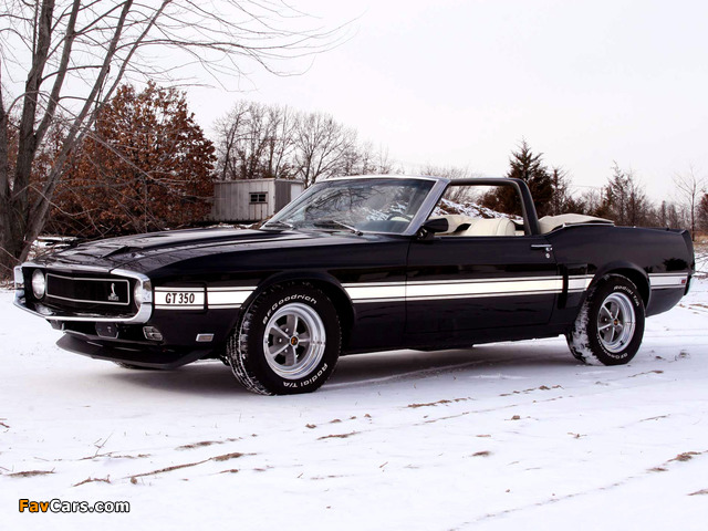 Shelby GT350 Convertible 1969 pictures (640 x 480)