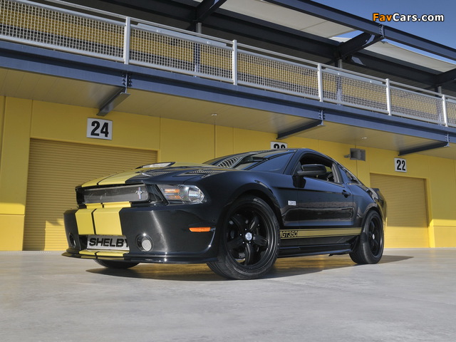 Shelby GT350 50th Anniversary 2012 pictures (640 x 480)