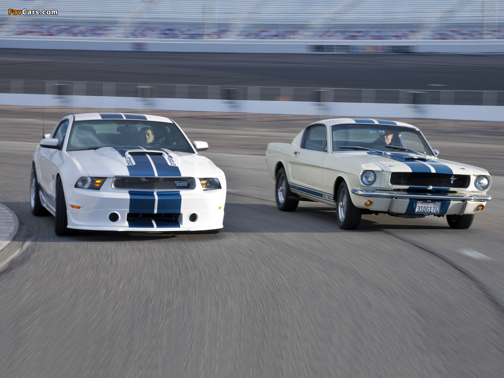 Shelby GT350 wallpapers (1024 x 768)