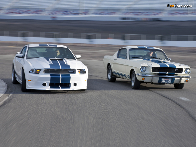 Shelby GT350 wallpapers (800 x 600)