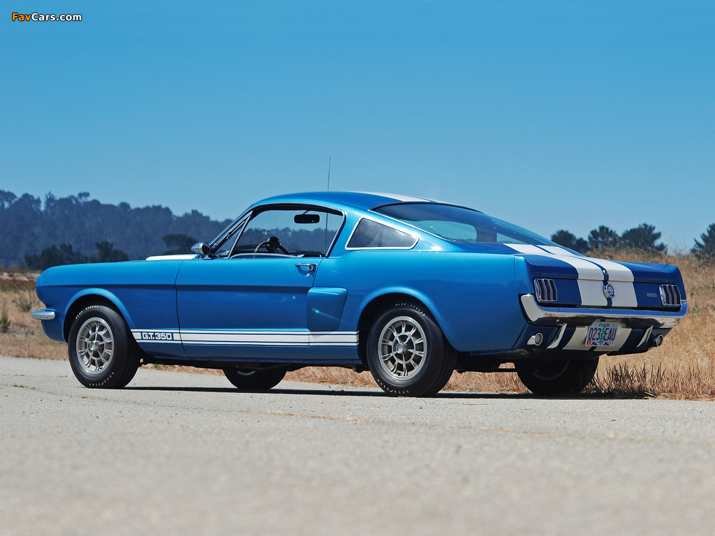 Shelby GT350 1965 wallpapers (1024 x 768)