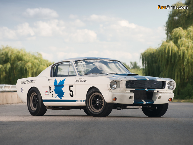 Shelby GT350R 1965 wallpapers (640 x 480)
