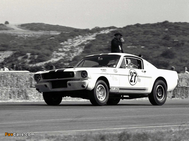 Shelby GT350R 1965 wallpapers (640 x 480)