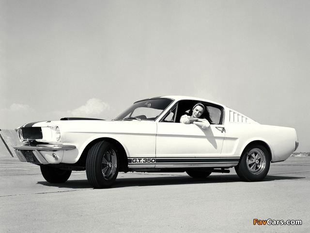 Shelby GT350 1965 wallpapers (640 x 480)