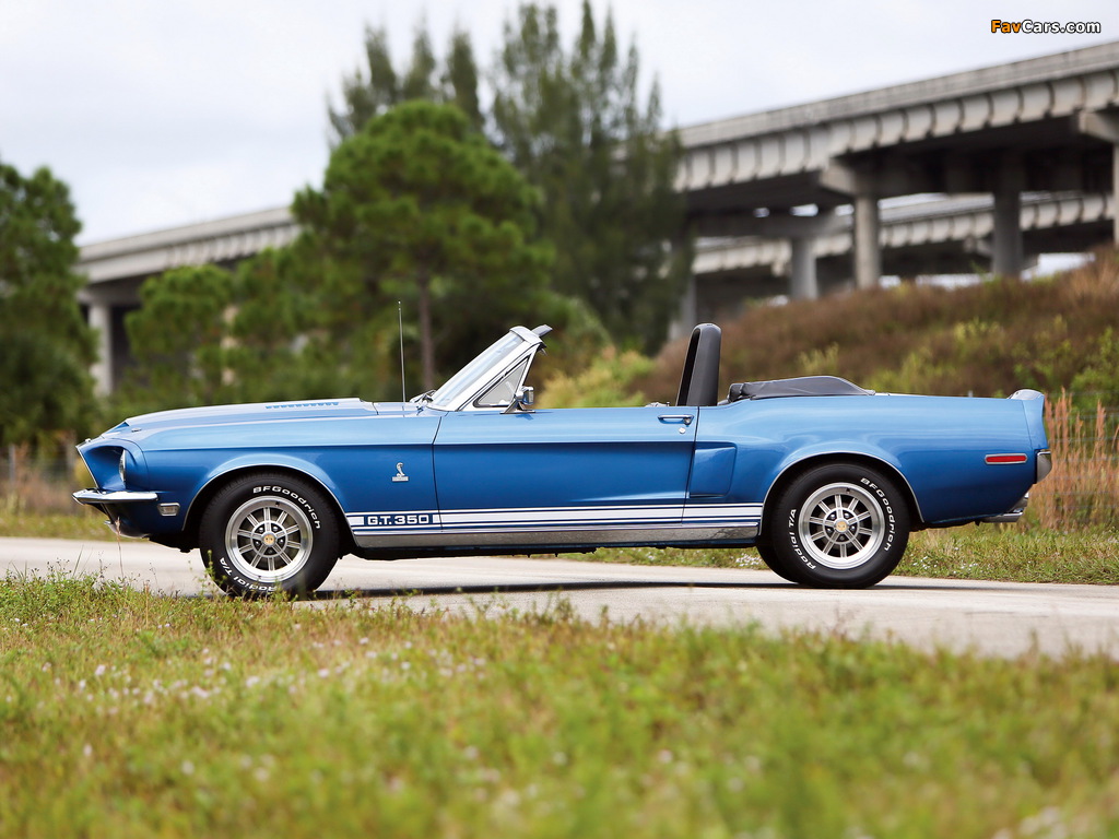 Shelby GT350 Convertible 1968 wallpapers (1024 x 768)
