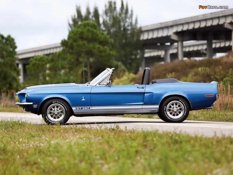 Shelby GT350 Convertible 1968 wallpapers (800 x 600)