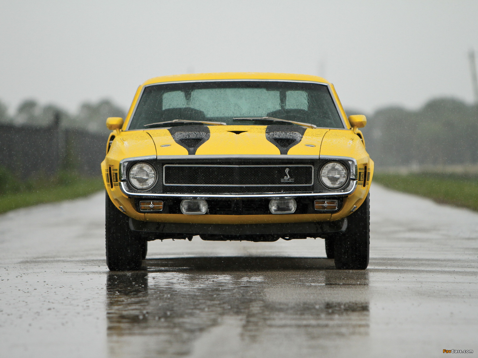 Shelby GT350 1969–70 wallpapers (1600 x 1200)