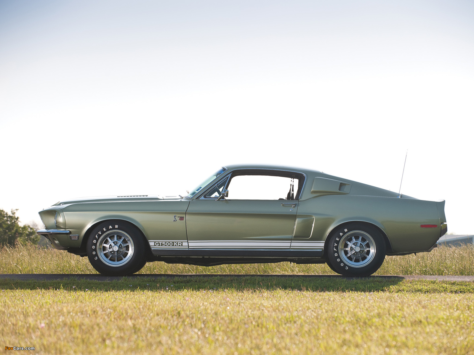 Images of Shelby GT500 KR 1968 (1600 x 1200)