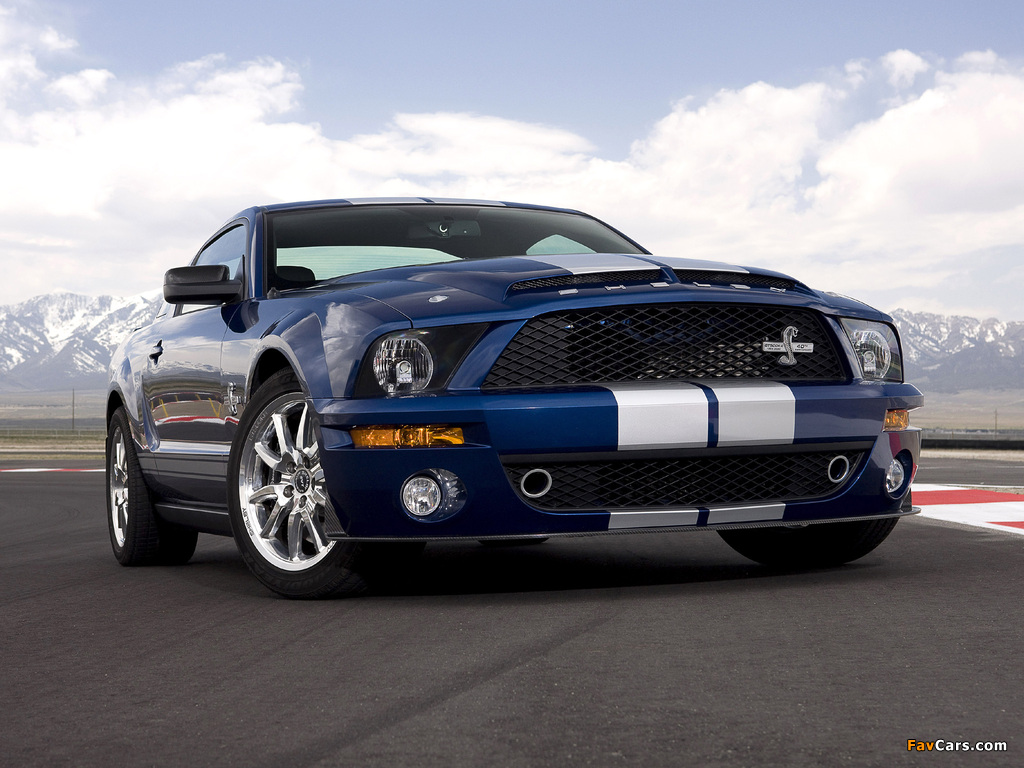 Images of Shelby GT500 KR 40th Anniversary 2008 (1024 x 768)