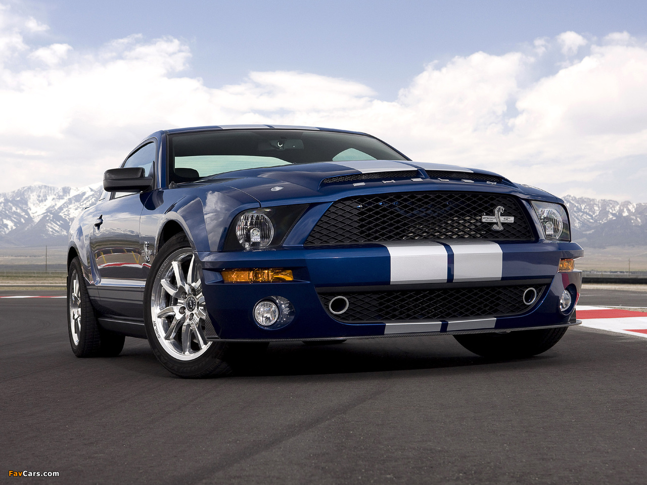 Images of Shelby GT500 KR 40th Anniversary 2008 (1280 x 960)