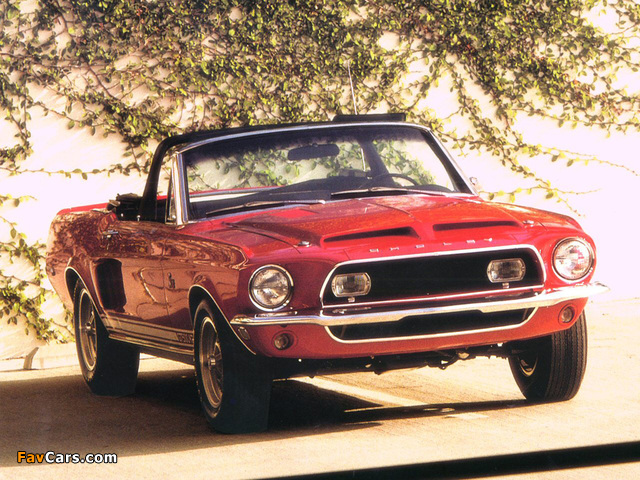 Images of Shelby GT500 KR Convertible 1968 (640 x 480)