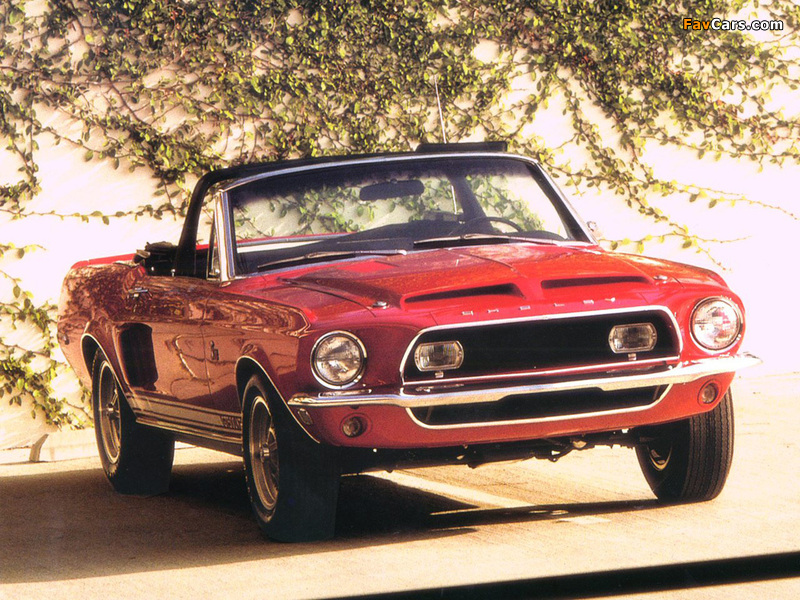 Images of Shelby GT500 KR Convertible 1968 (800 x 600)