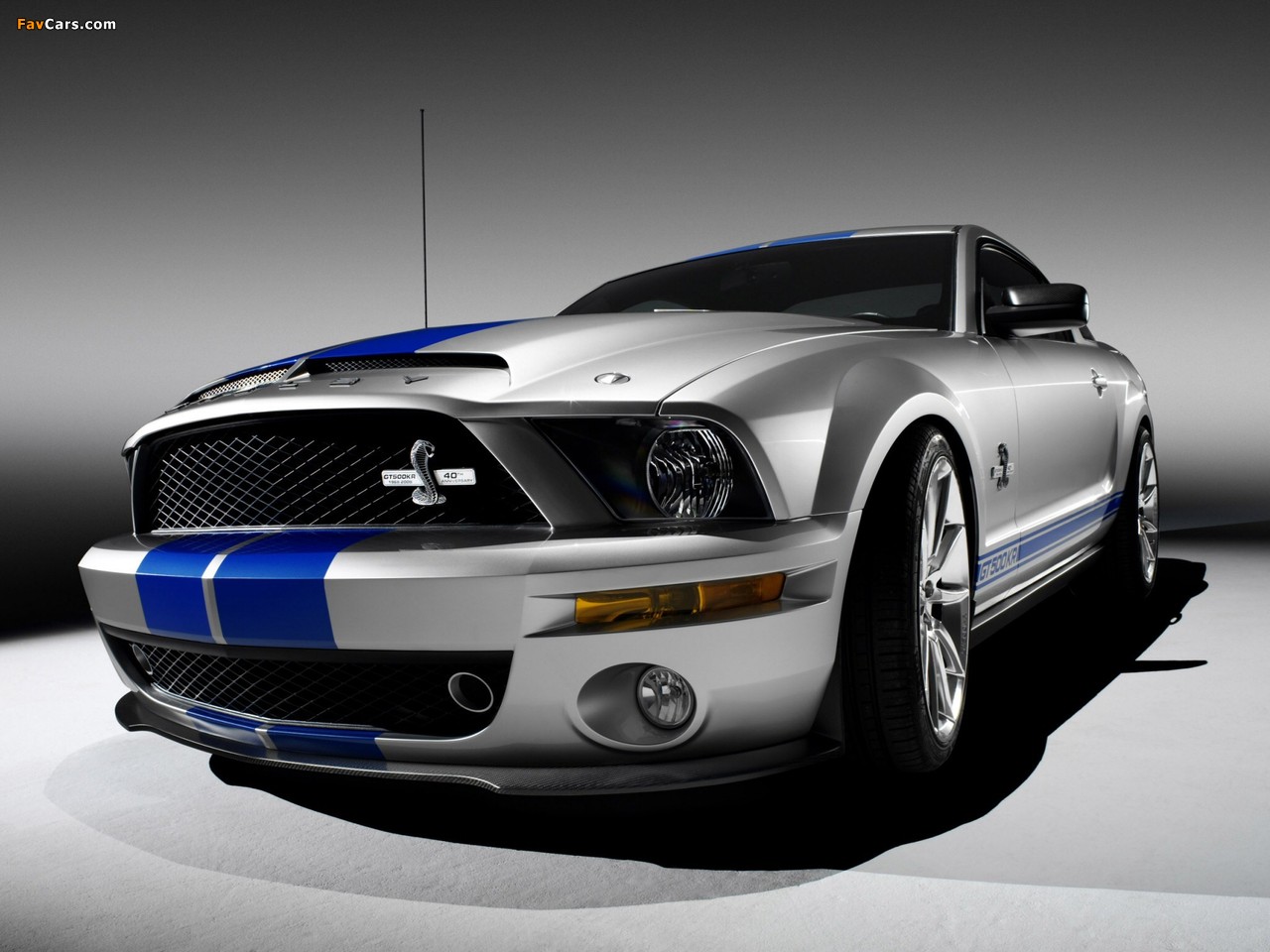 Images of Shelby GT500 KR 40th Anniversary 2008 (1280 x 960)