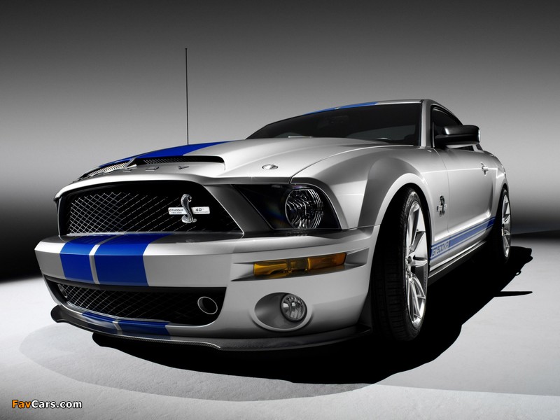 Images of Shelby GT500 KR 40th Anniversary 2008 (800 x 600)