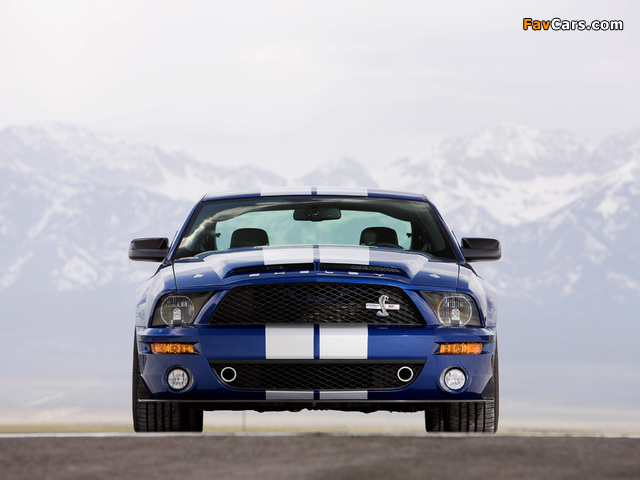 Photos of Shelby GT500 KR 40th Anniversary 2008 (640 x 480)