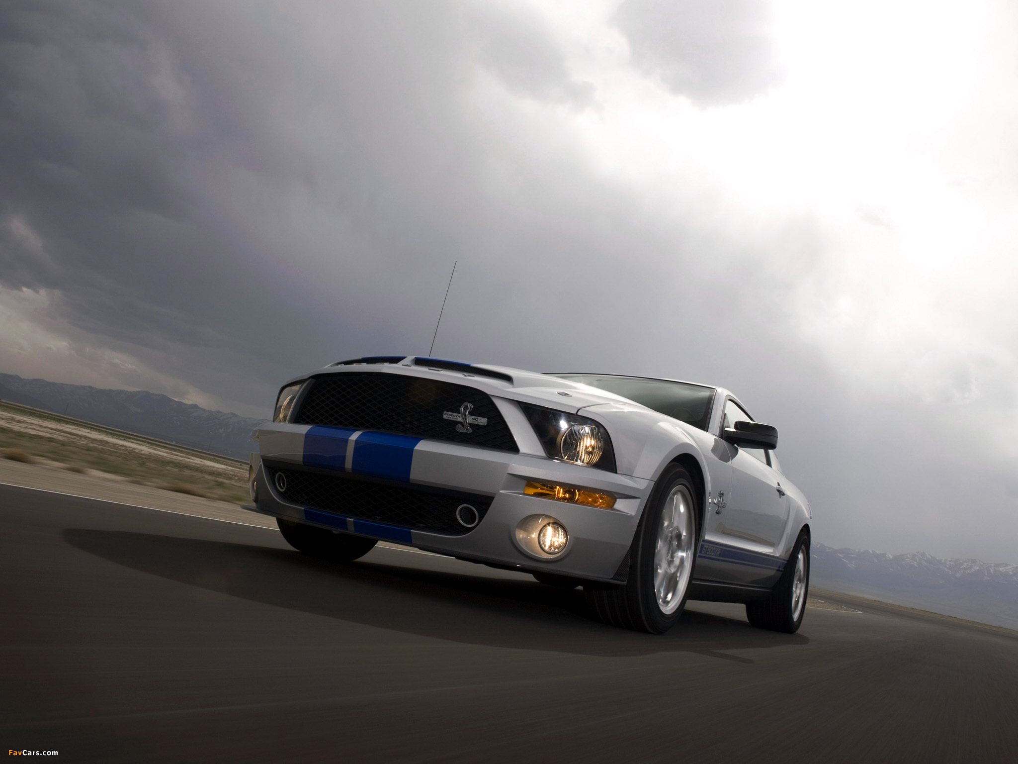 Photos of Shelby GT500 KR 40th Anniversary 2008 (2048 x 1536)