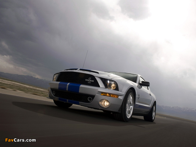 Photos of Shelby GT500 KR 40th Anniversary 2008 (640 x 480)