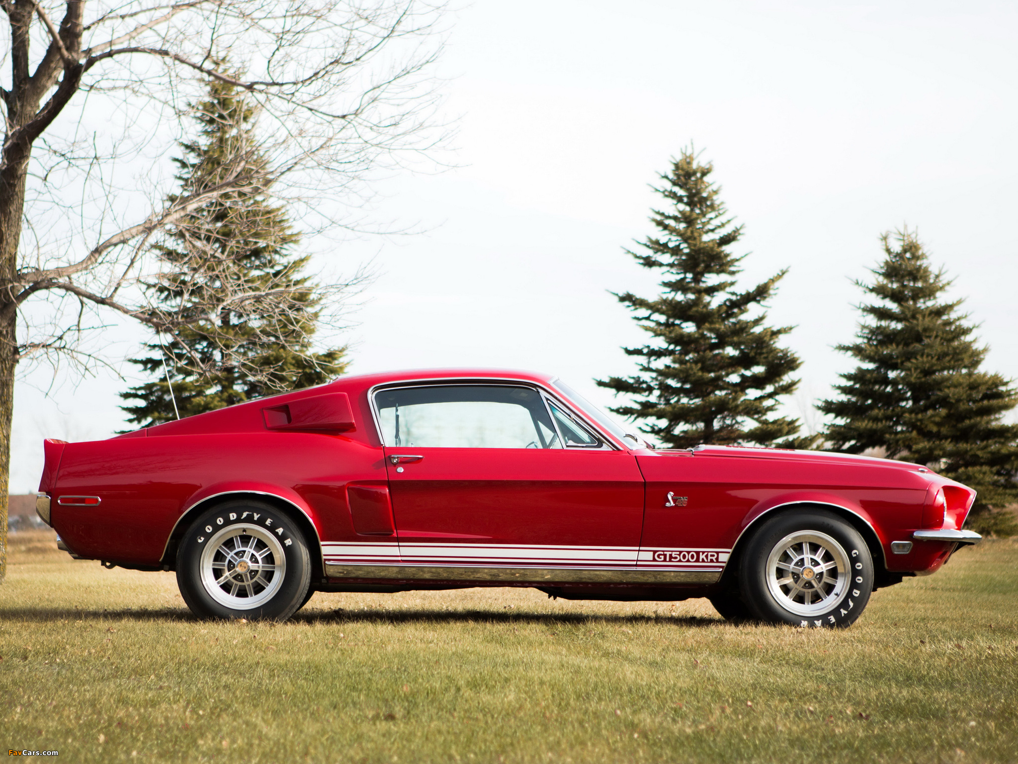 Pictures of Shelby GT500 KR 1968 (2048 x 1536)