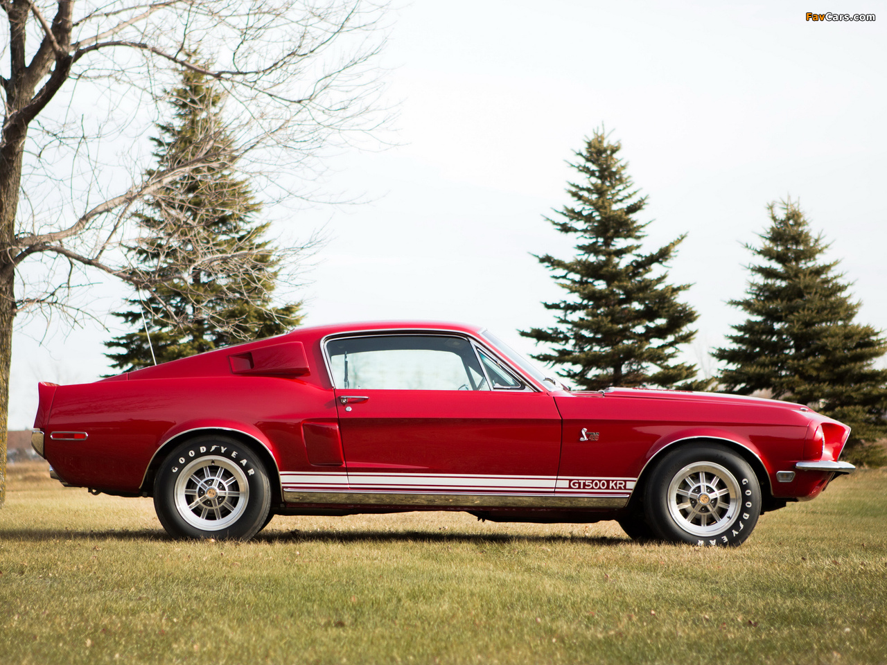 Pictures of Shelby GT500 KR 1968 (1280 x 960)