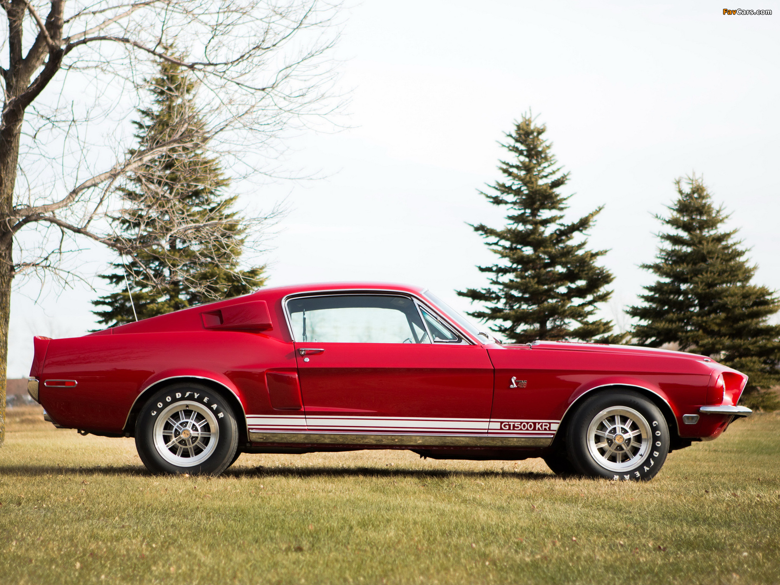 Pictures of Shelby GT500 KR 1968 (1600 x 1200)