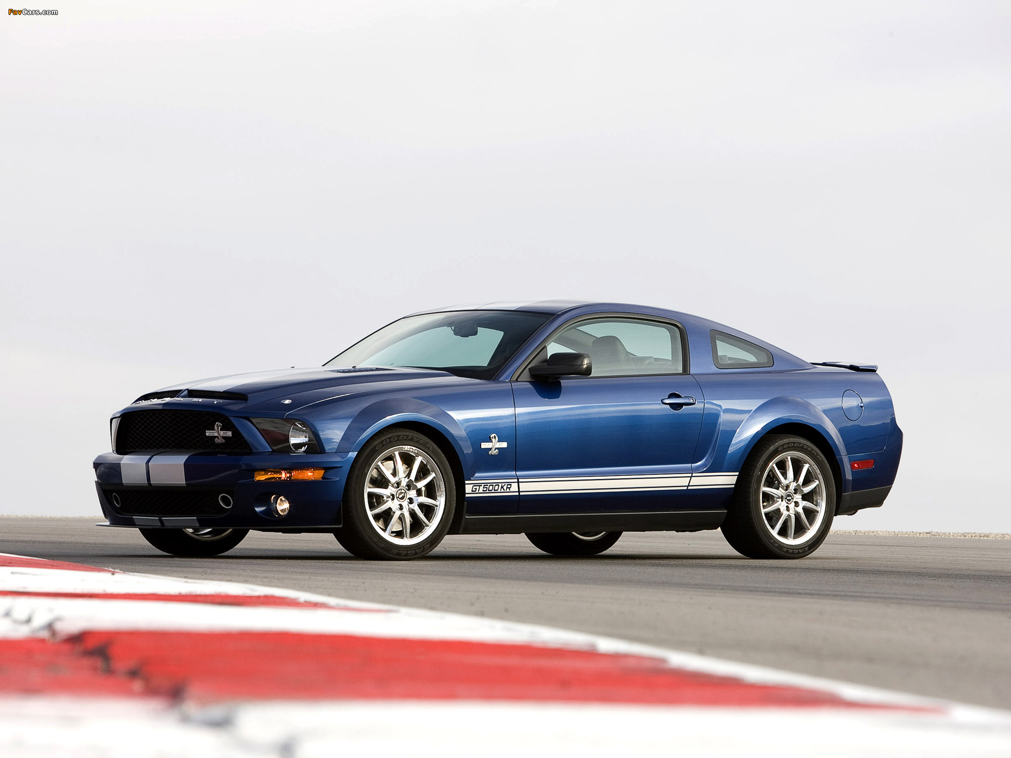 Pictures of Shelby GT500 KR 40th Anniversary 2008 (2048 x 1536)