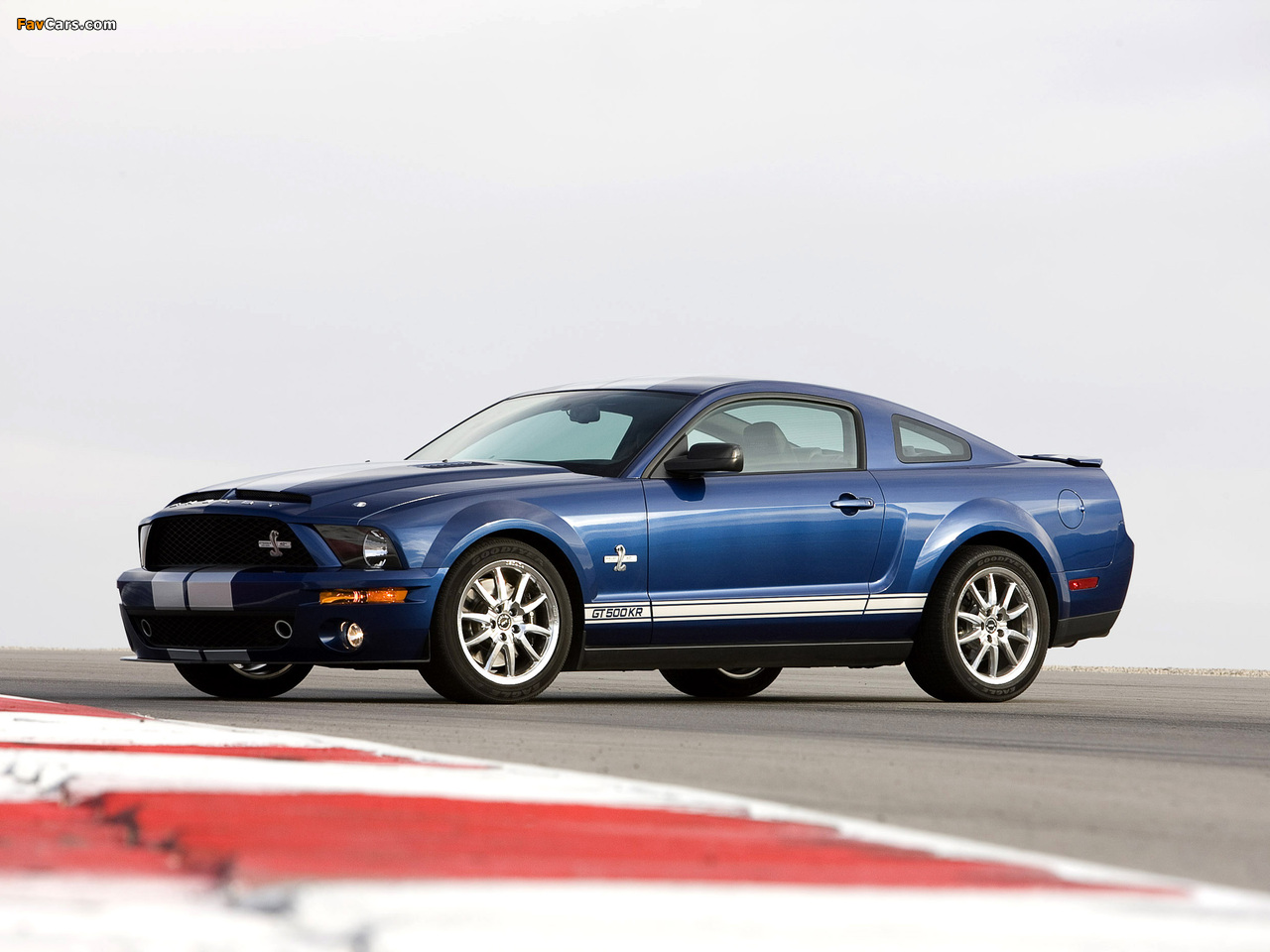Pictures of Shelby GT500 KR 40th Anniversary 2008 (1280 x 960)