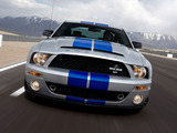 Pictures of Shelby GT500 KR 40th Anniversary 2008