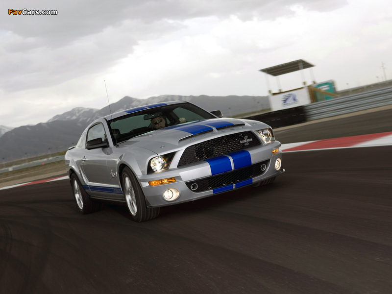 Pictures of Shelby GT500 KR 40th Anniversary 2008 (800 x 600)