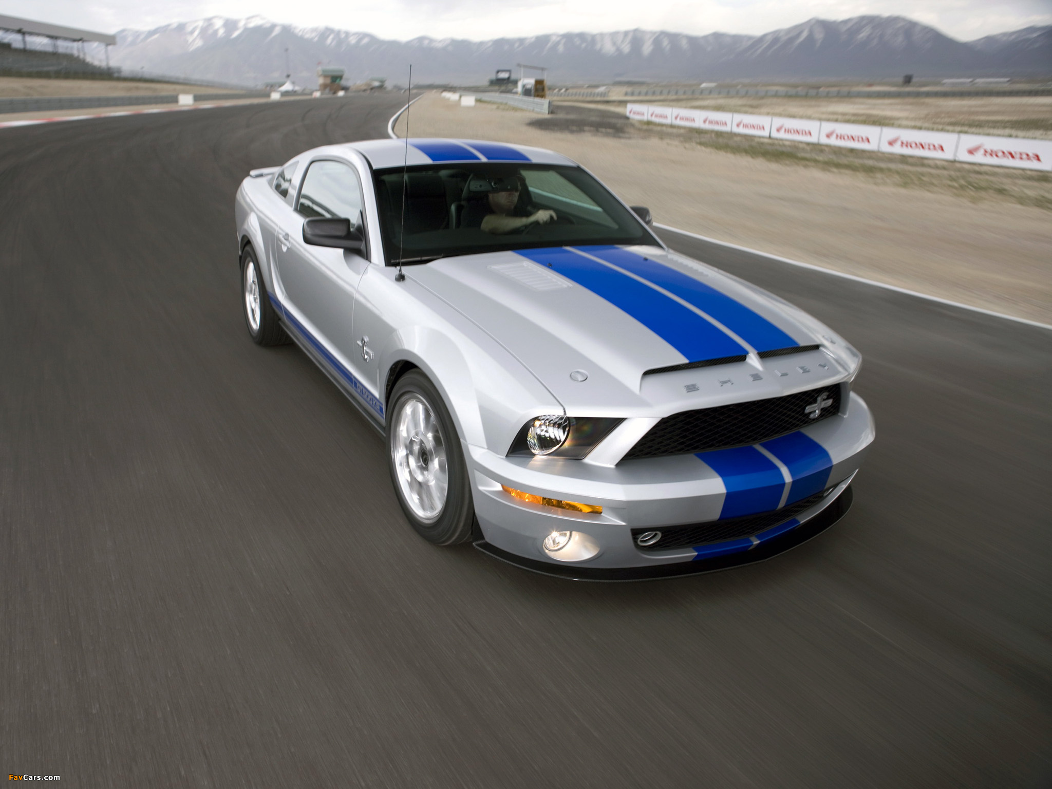 Pictures of Shelby GT500 KR 40th Anniversary 2008 (2048 x 1536)