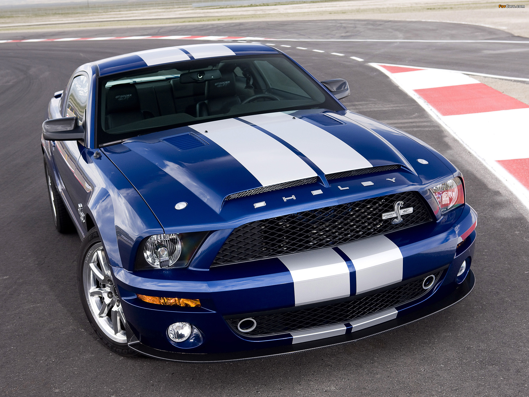Shelby GT500 KR 40th Anniversary 2008 images (2048 x 1536)