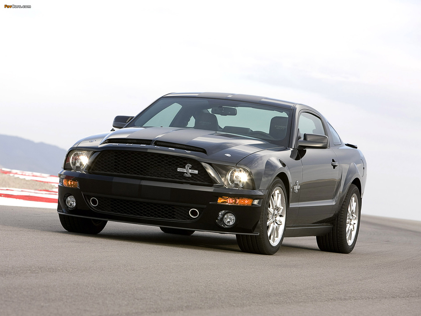 Shelby GT500 KR 40th Anniversary 2008 images (1600 x 1200)