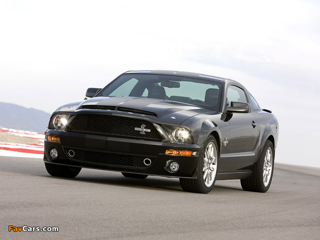 Shelby GT500 KR 40th Anniversary 2008 images (640 x 480)