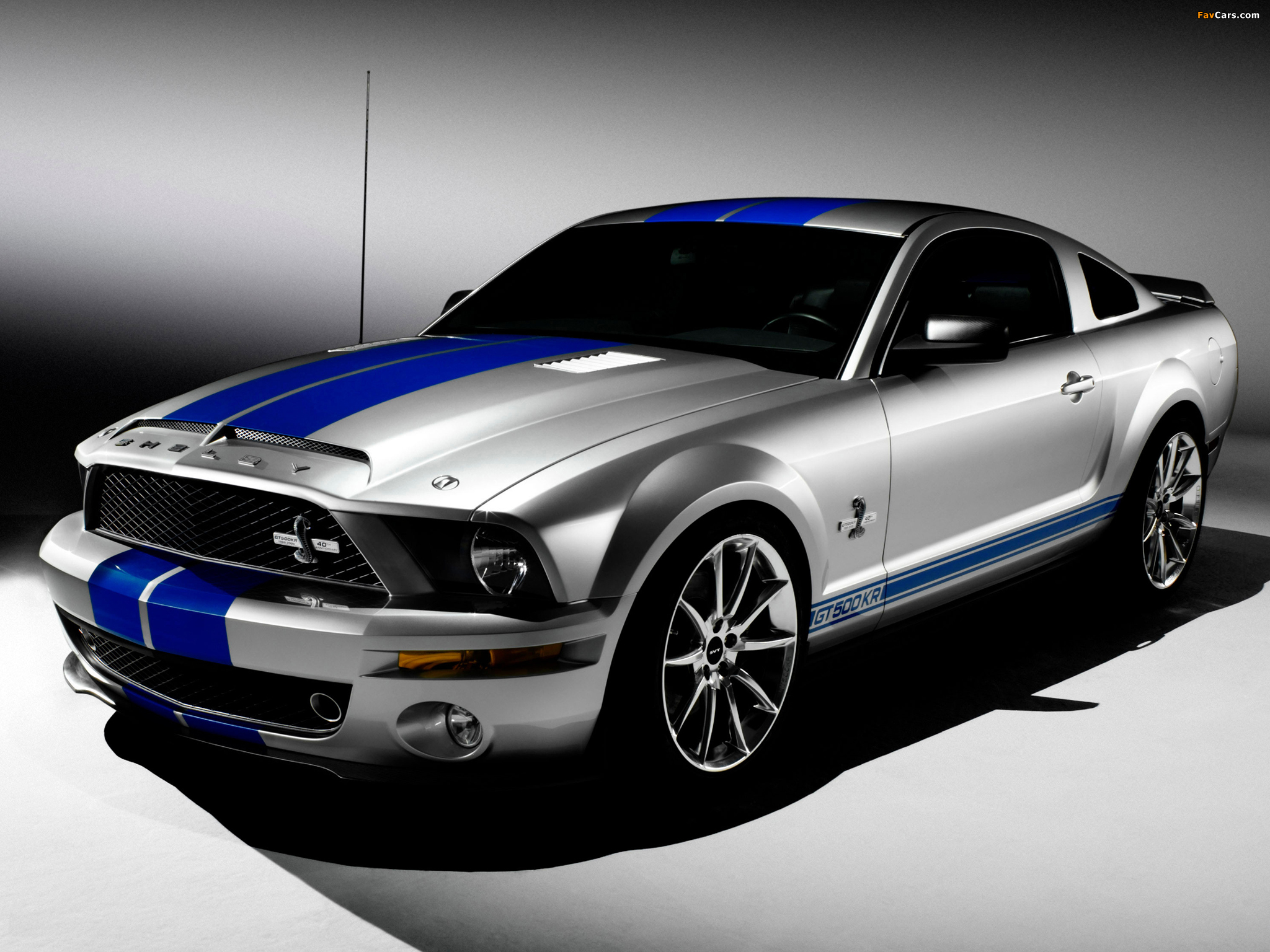 Shelby GT500 KR 40th Anniversary 2008 images (2048 x 1536)