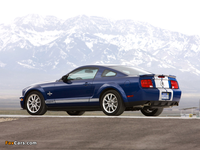 Shelby GT500 KR 40th Anniversary 2008 photos (640 x 480)