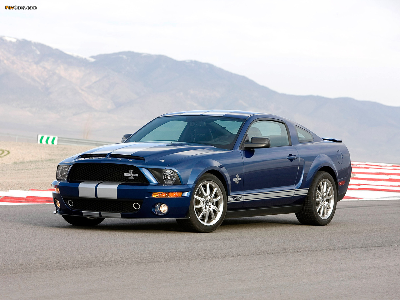 Shelby GT500 KR 40th Anniversary 2008 pictures (1280 x 960)