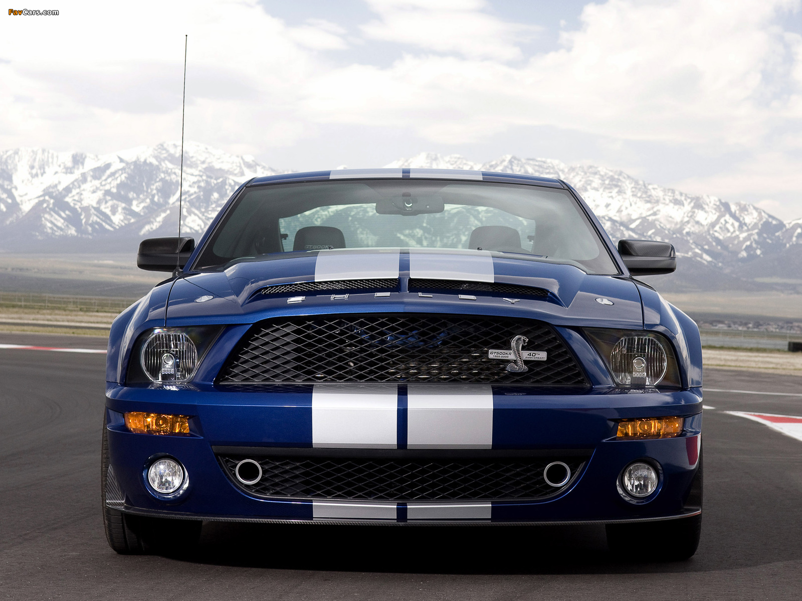 Shelby GT500 KR 40th Anniversary 2008 wallpapers (1600 x 1200)