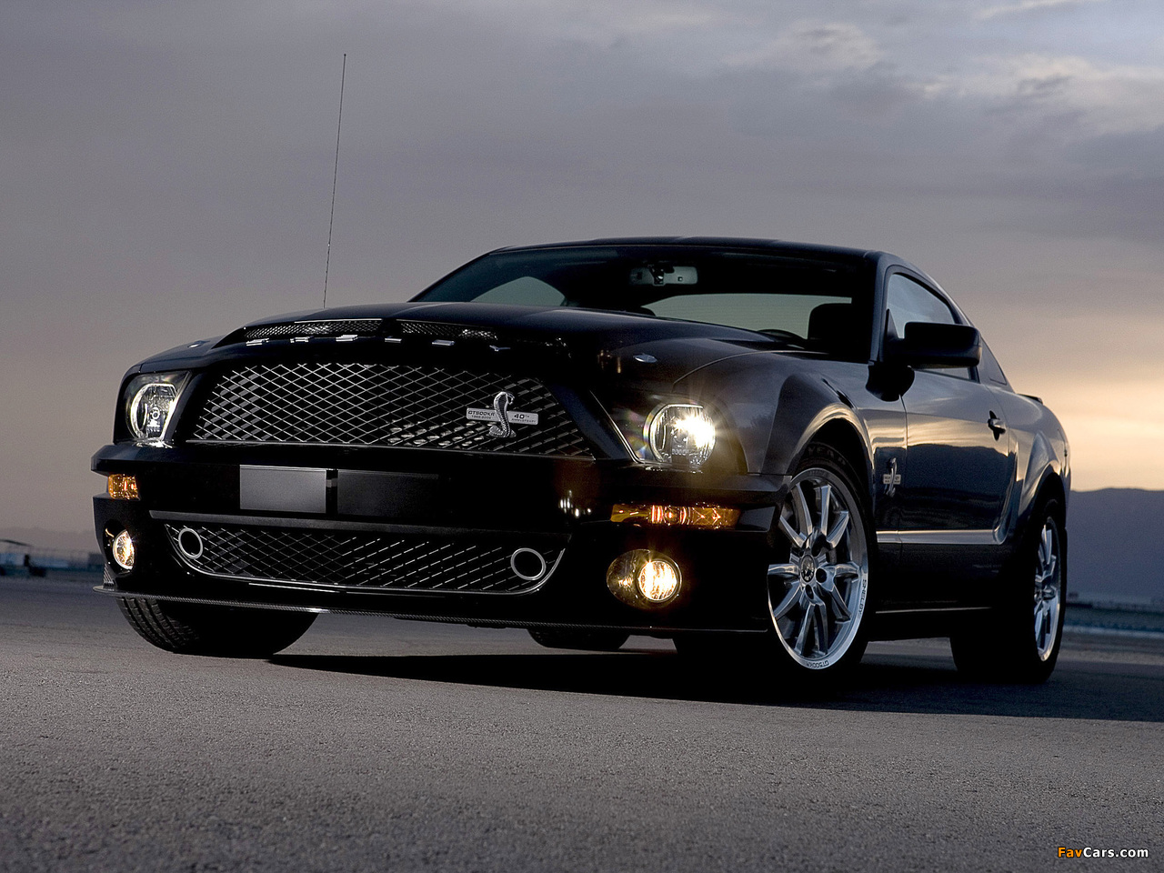 Shelby GT500 KR 40th Anniversary 2008 wallpapers (1280 x 960)