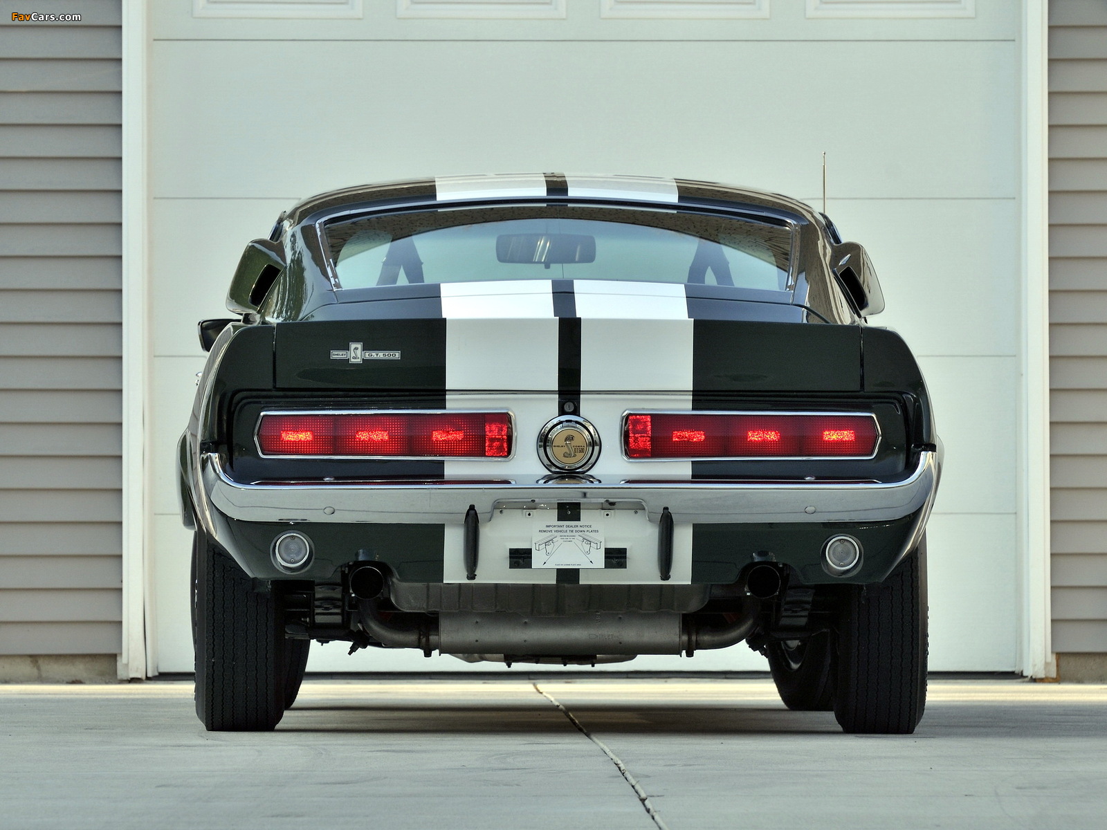Images of Shelby GT500 1967 (1600 x 1200)