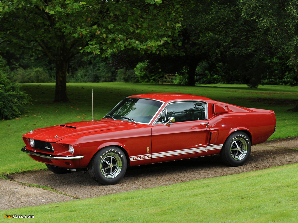 Images of Shelby GT500 1967 (1024 x 768)
