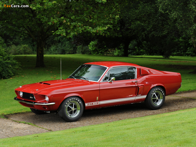 Images of Shelby GT500 1967 (800 x 600)