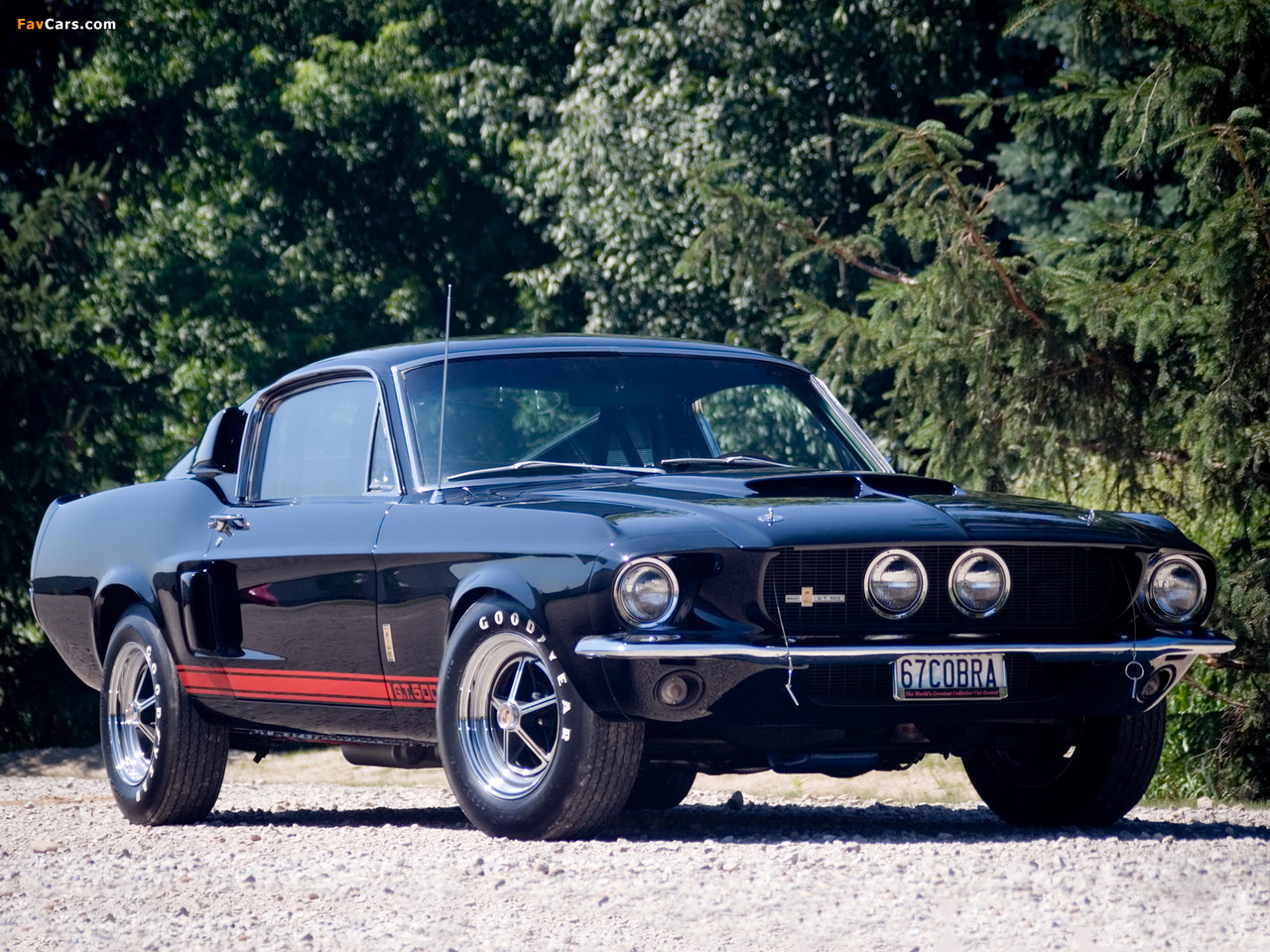 Images of Shelby GT500 1967 (1280 x 960)