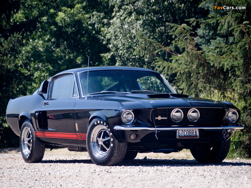 Images of Shelby GT500 1967 (800 x 600)