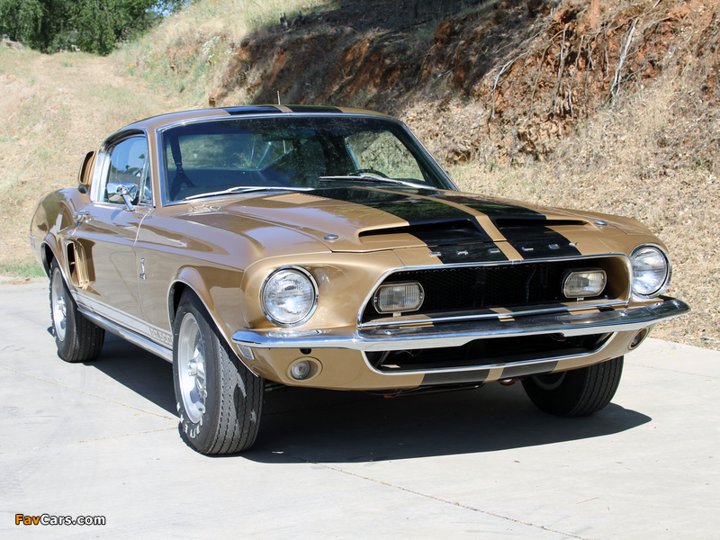 Images of Shelby GT500 1968 (800 x 600)